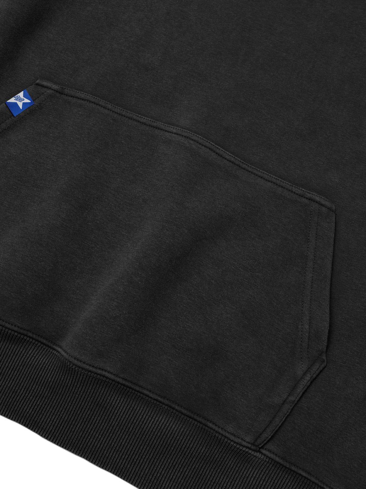 Aelfric Eden Solid Hoodie Product Image