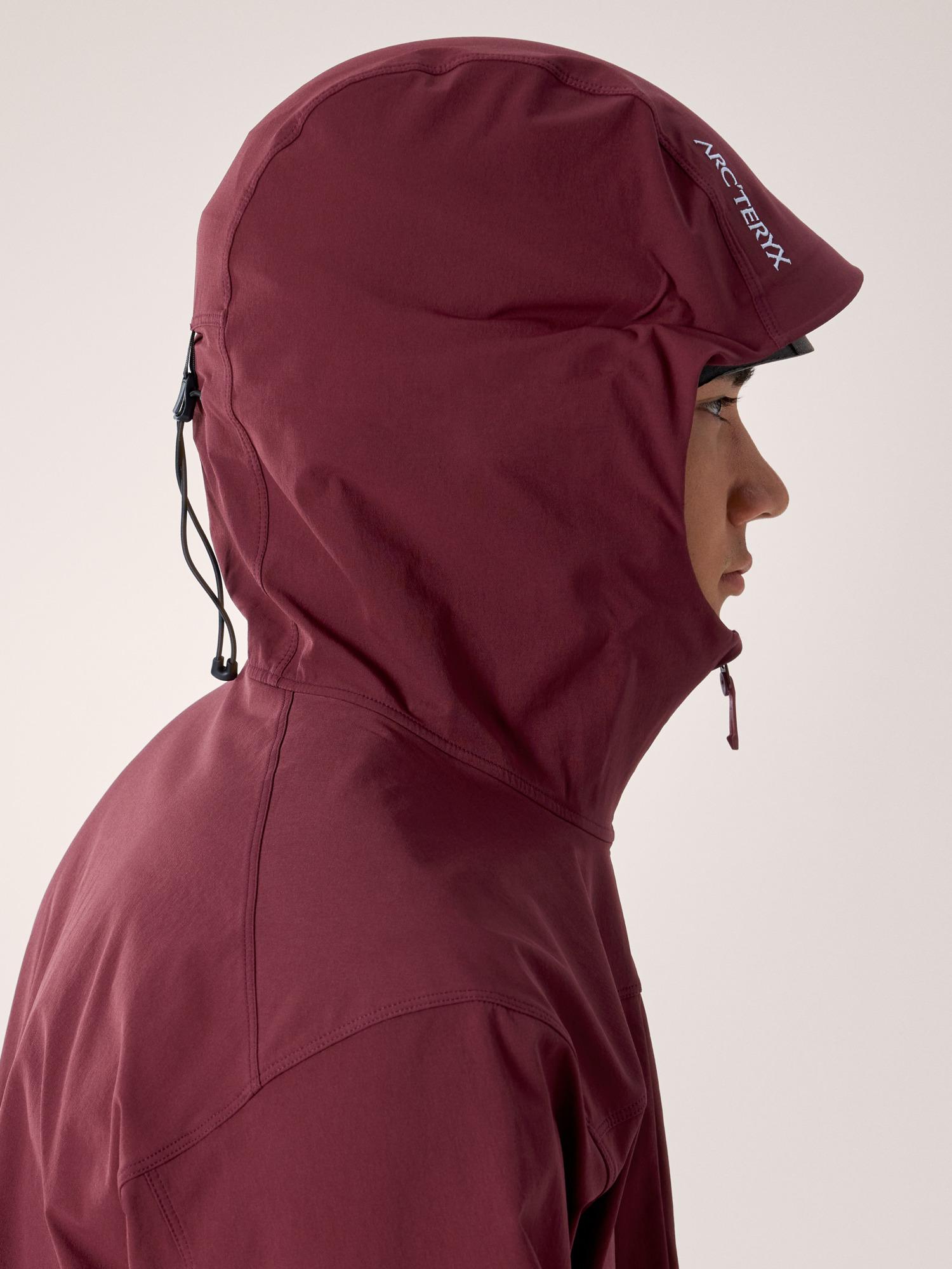 Gamma Hoody Men's Product Image