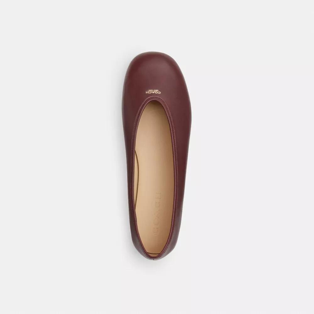 Houston Ballet Flat Product Image