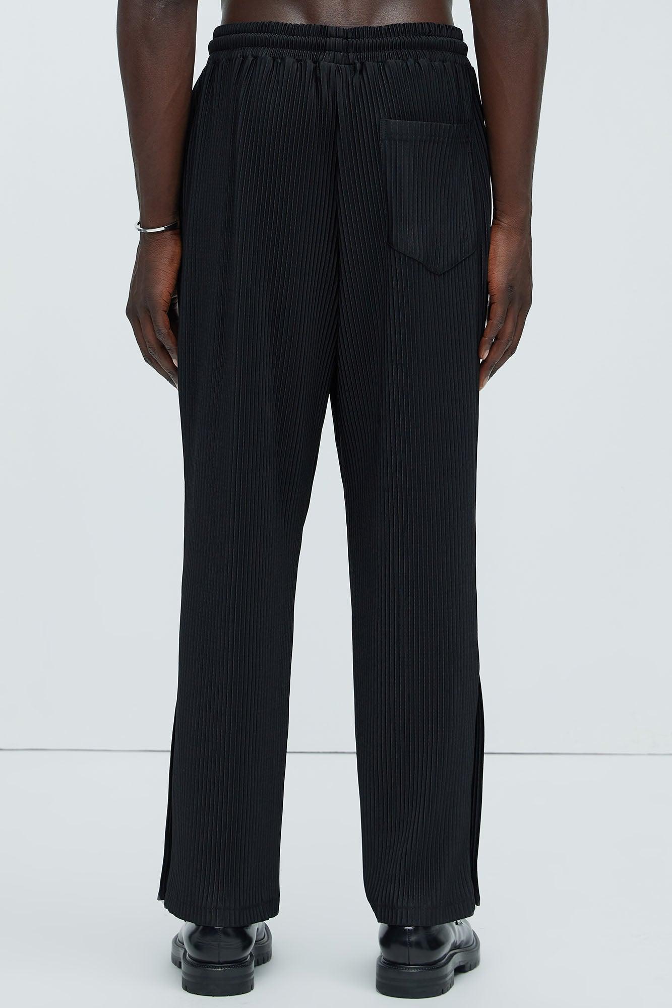 Potential Straight Pleated Pants - Black Product Image