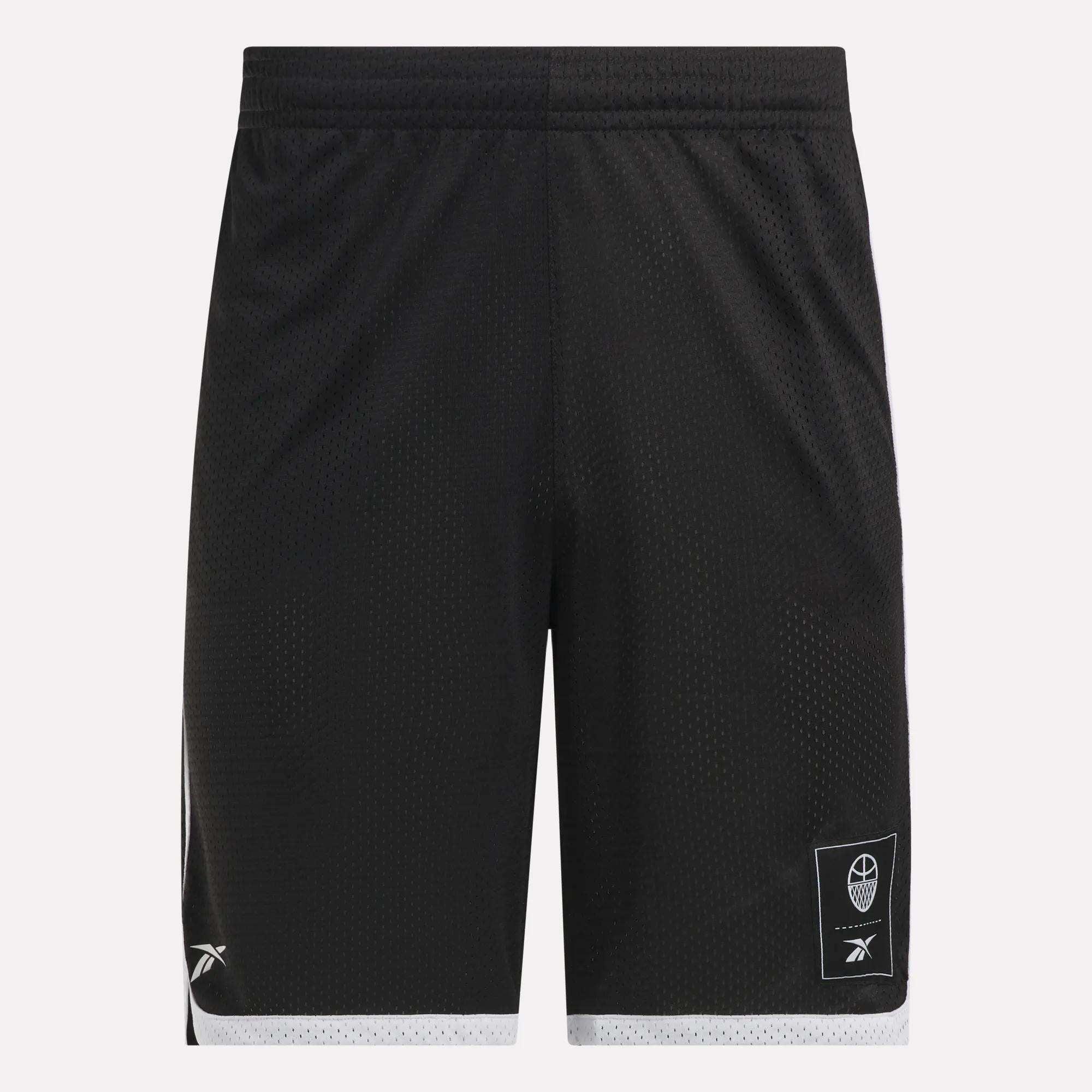 Men's Basketball Mesh Shorts Male Product Image