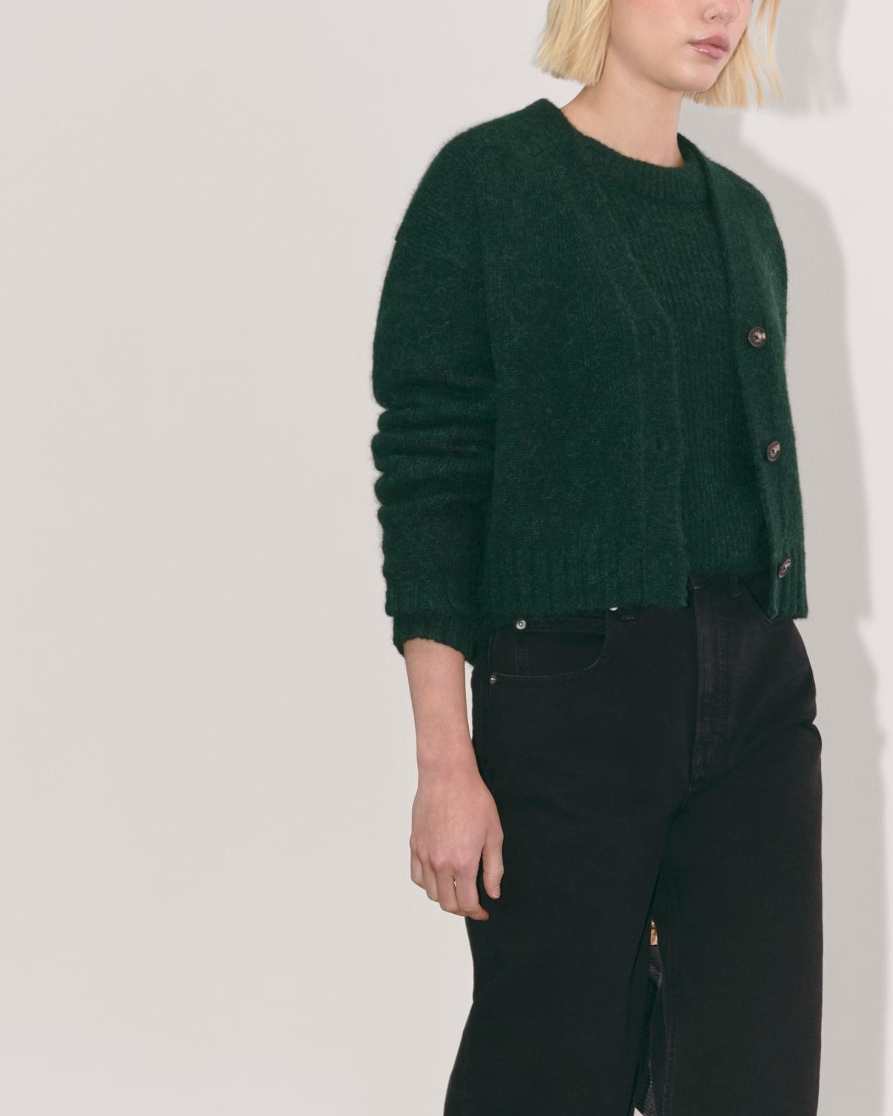 Womens Boxy Cardigan in Alpaca by Everlane Product Image