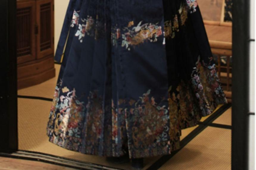 Long-Sleeve Plain Hanfu Top / High Waist Floral Maxi Ma Mian Skirt / Set Product Image