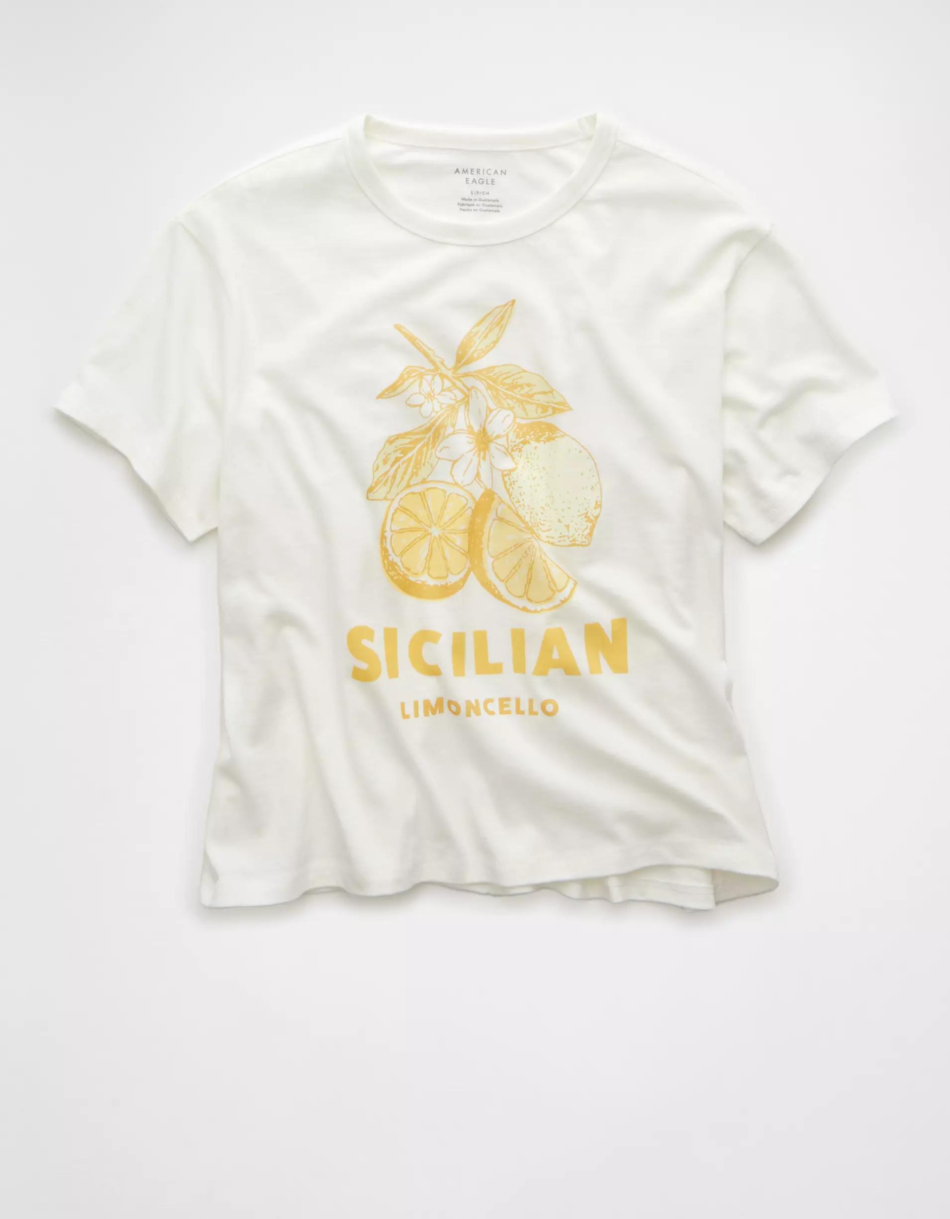 AE Ex-Boyfriend Destination Graphic T-Shirt Product Image