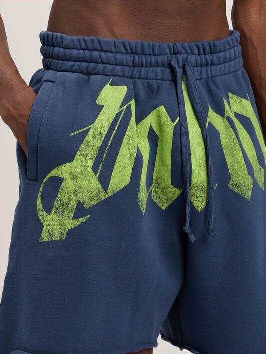 Big Waist Logo Sweatshorts Product Image
