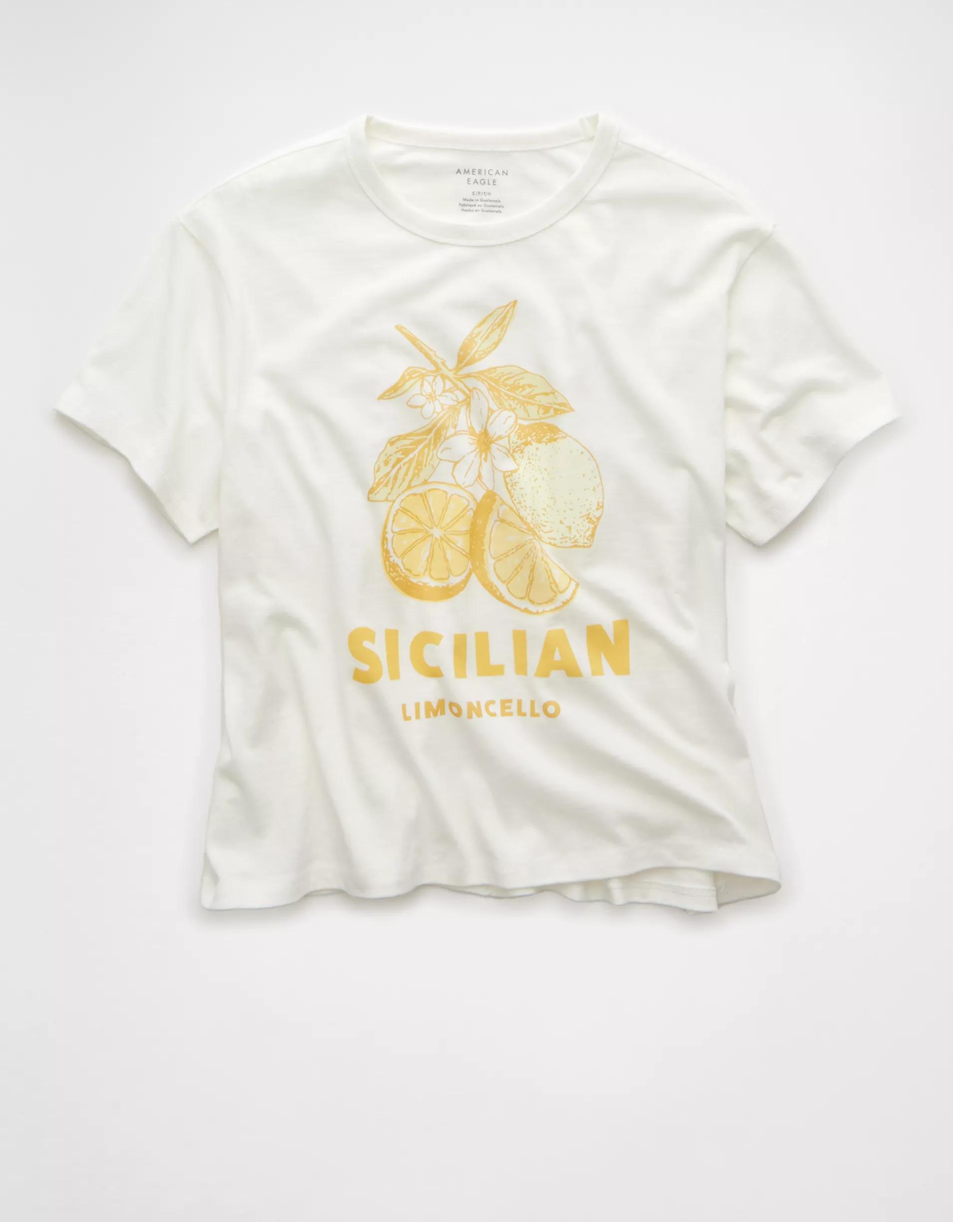 AE Ex-Boyfriend Destination Graphic T-Shirt Product Image