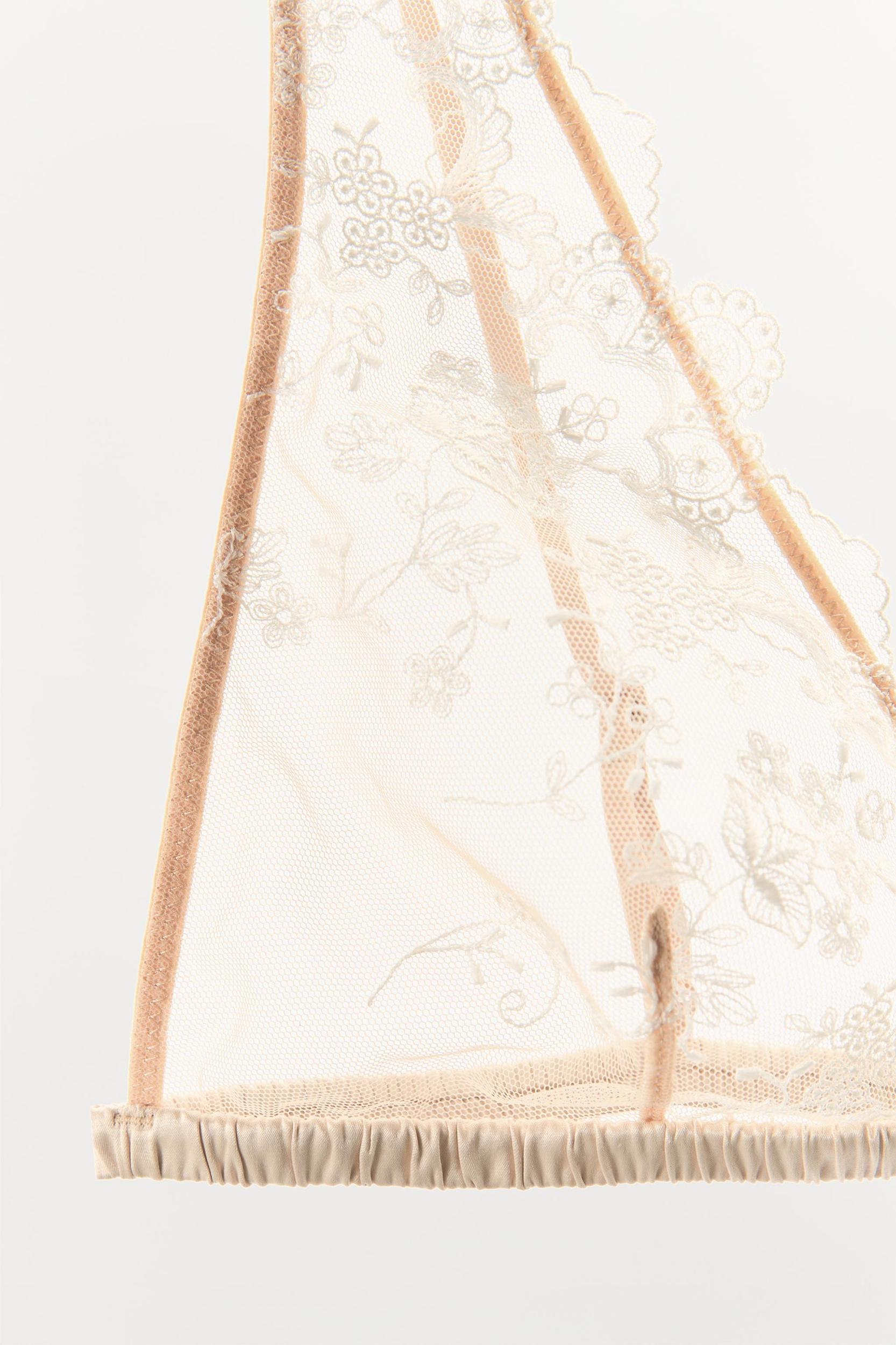 EMBROIDERED MESH PANTIES Product Image