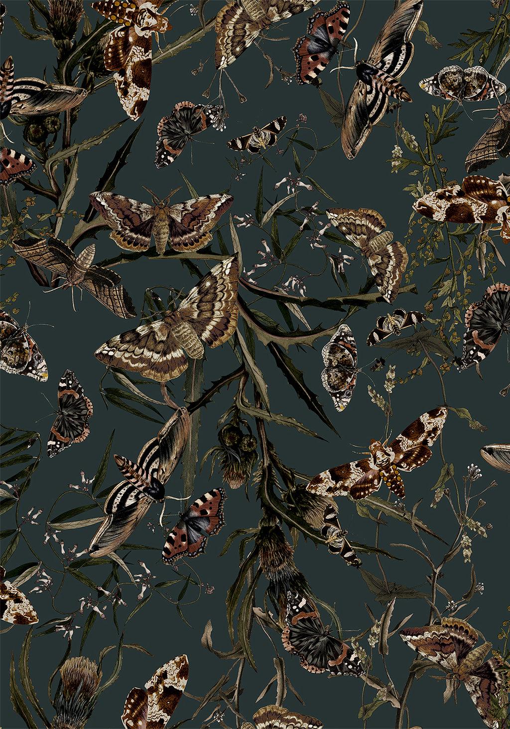 Whispen Moth Print Mini Wrap Dress Product Image