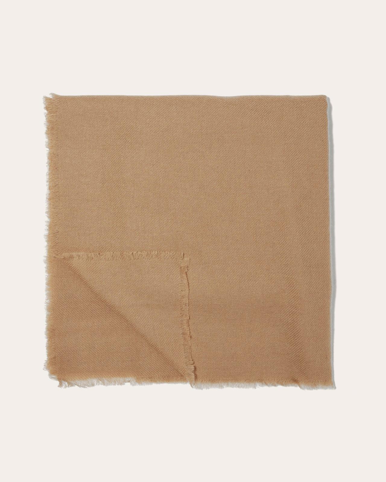 Womens Cashmere Feather Scarf by Everlane Product Image