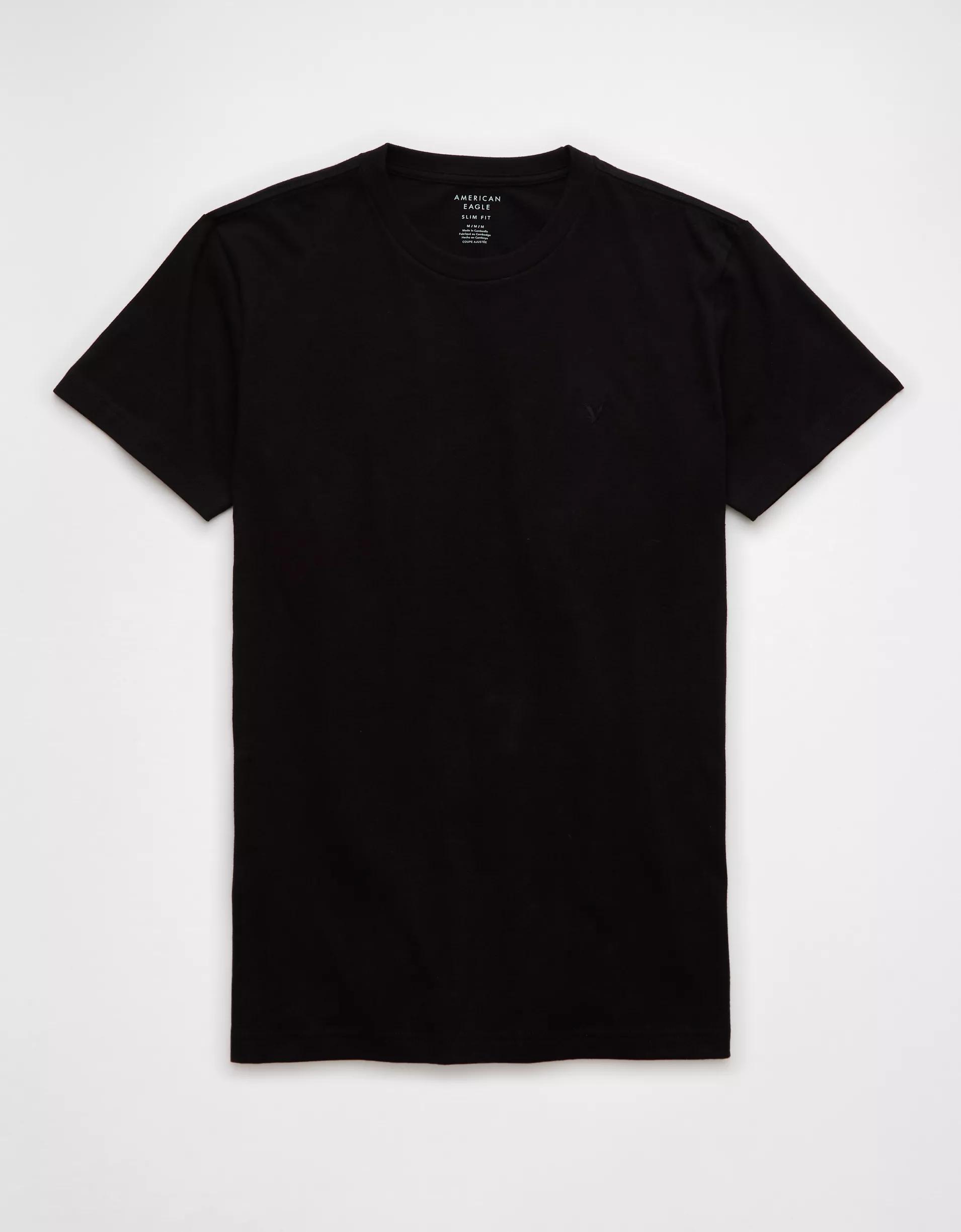 AE Lived-In Slim T-Shirt Men's Product Image
