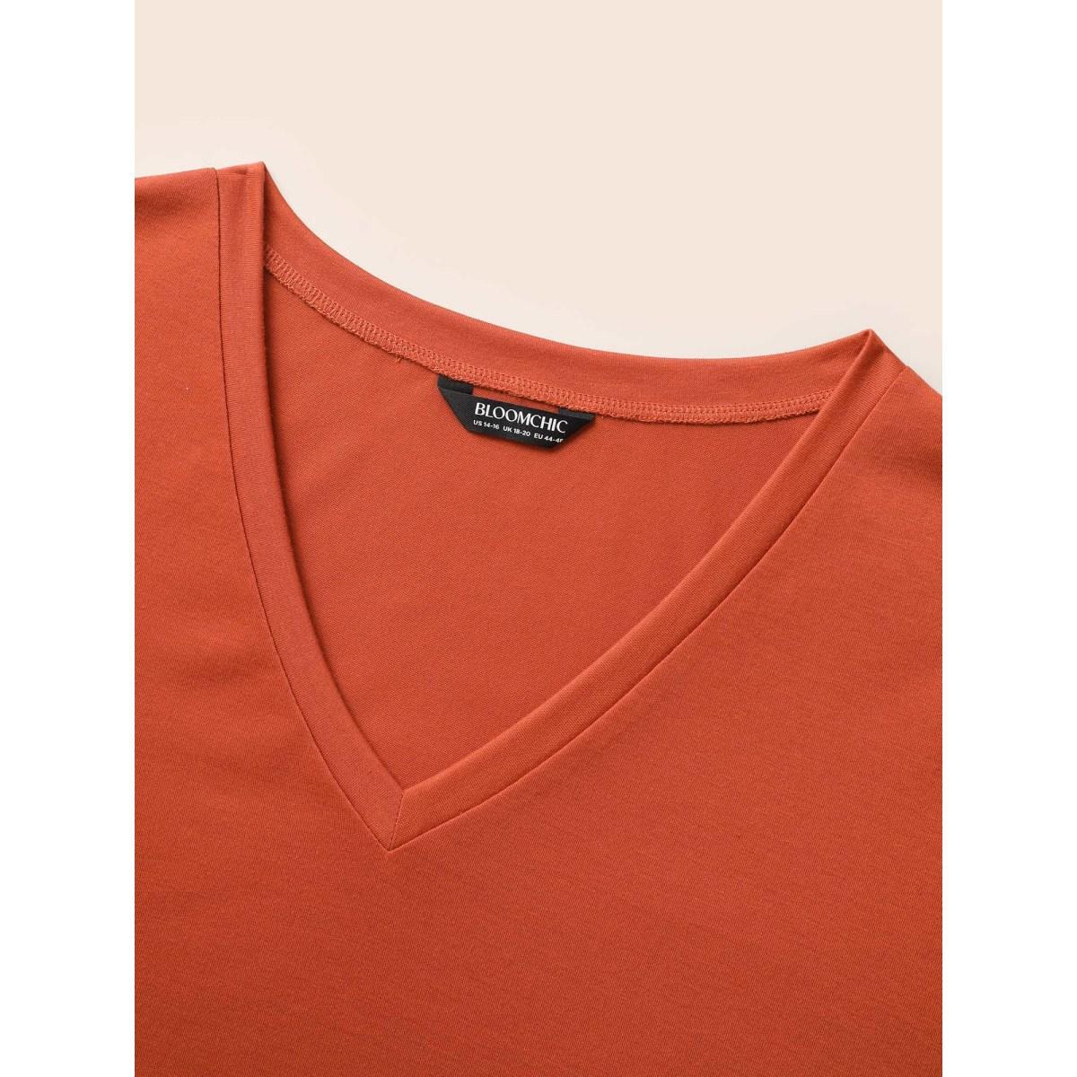 Plus Size V Neck Floral Embroidered T-shirt Rust Women Resort Embroidered V-neck Vacation T-shirts BloomChic 14-16/1X Product Image