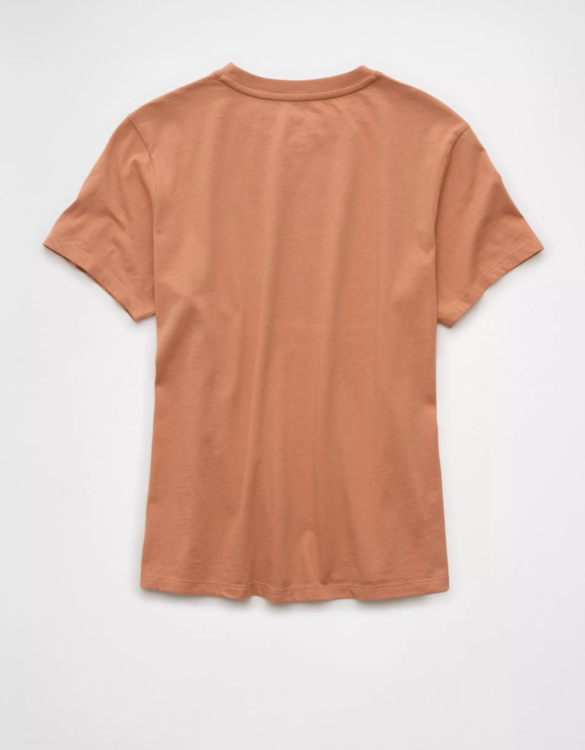 AE Classic Graphic T-Shirt Product Image