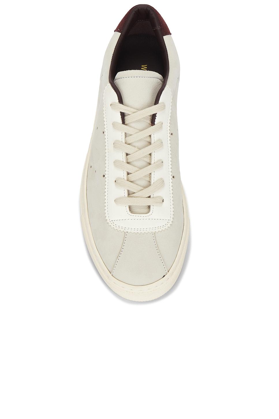 Tennis 24 Sneaker Common Projects Product Image