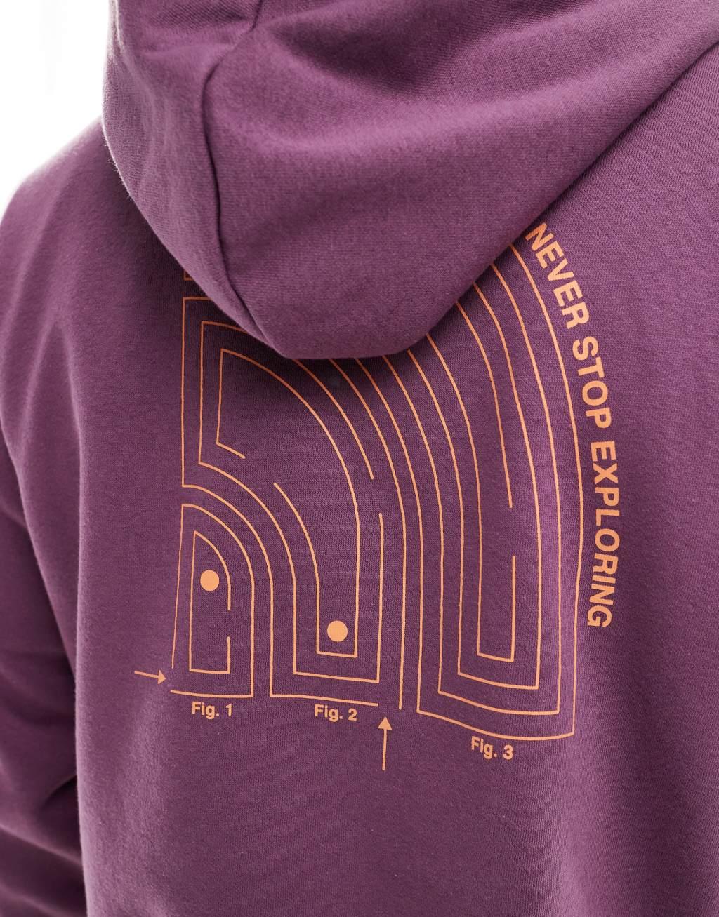 The North Face Brand Proud pullover hoodie with graphic back print in mauve Product Image