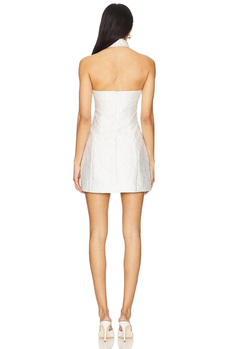 Molli Mini Dress Lovers and Friends Product Image