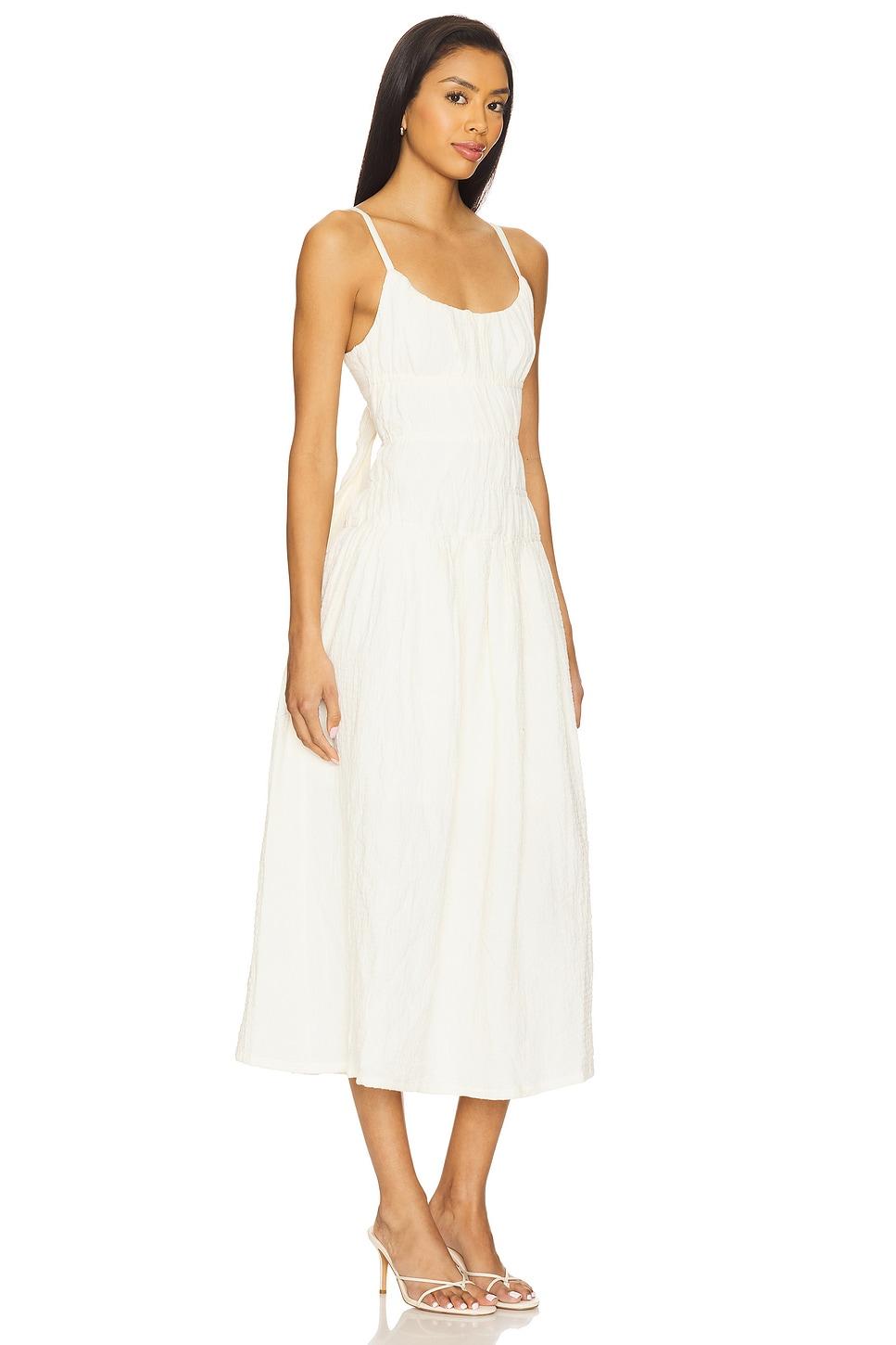 Toby Dress Steve Madden Product Image