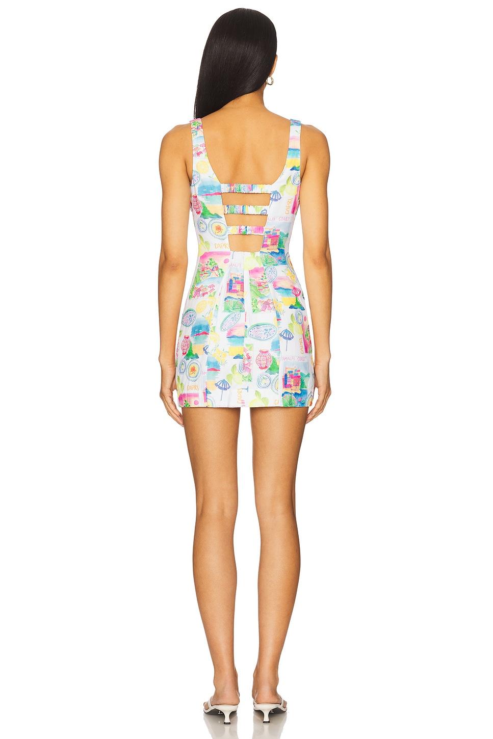 Steph Mini Dress Show Me Your Mumu Product Image