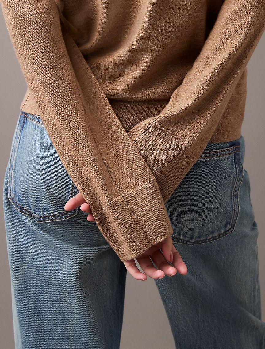 Extra Fine Merino Blend V-Neck Sweater Product Image