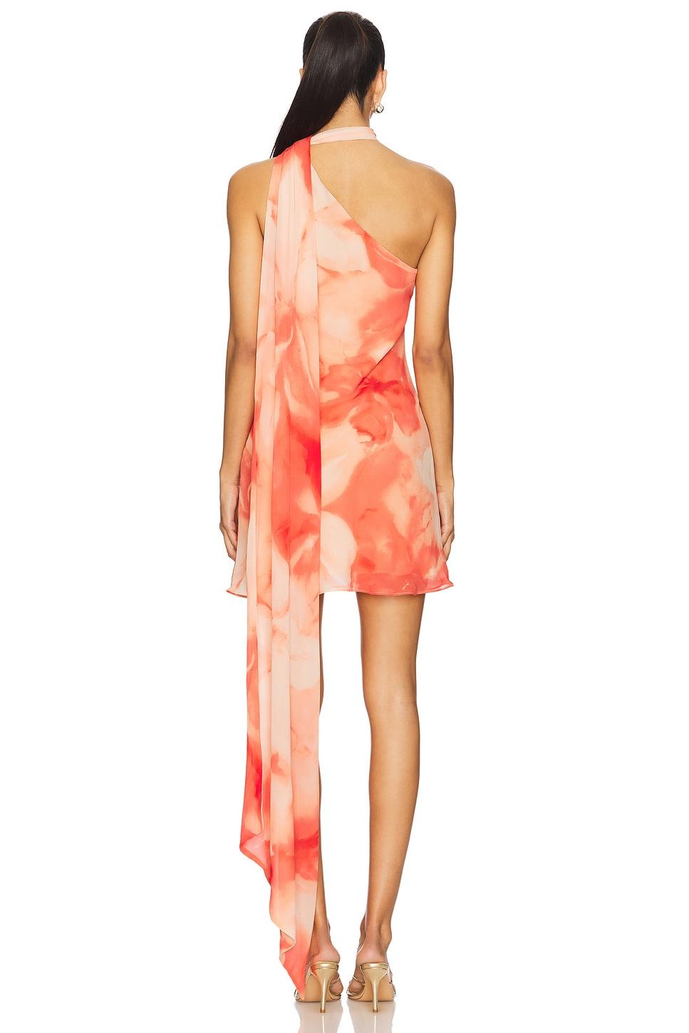 Lovers and Friends Kima Mini Dress in Orange Floral Product Image