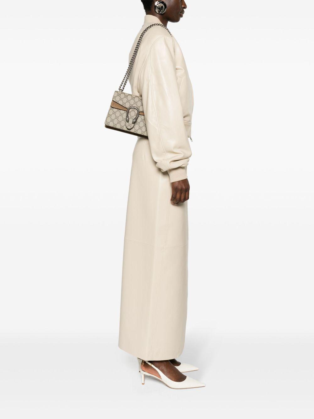 mini Dionysus shoulder bag Product Image