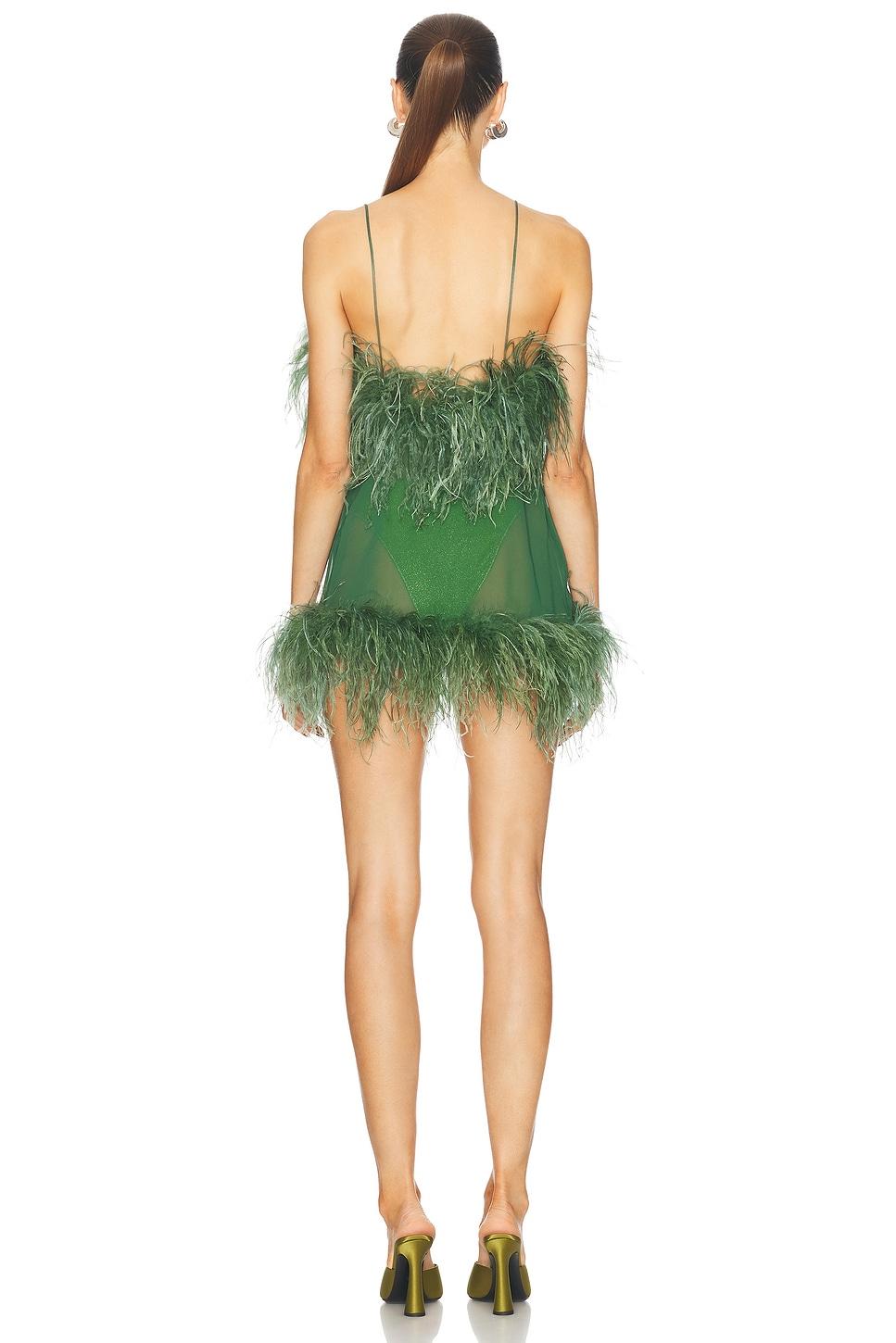Plumage Mini Dress Product Image