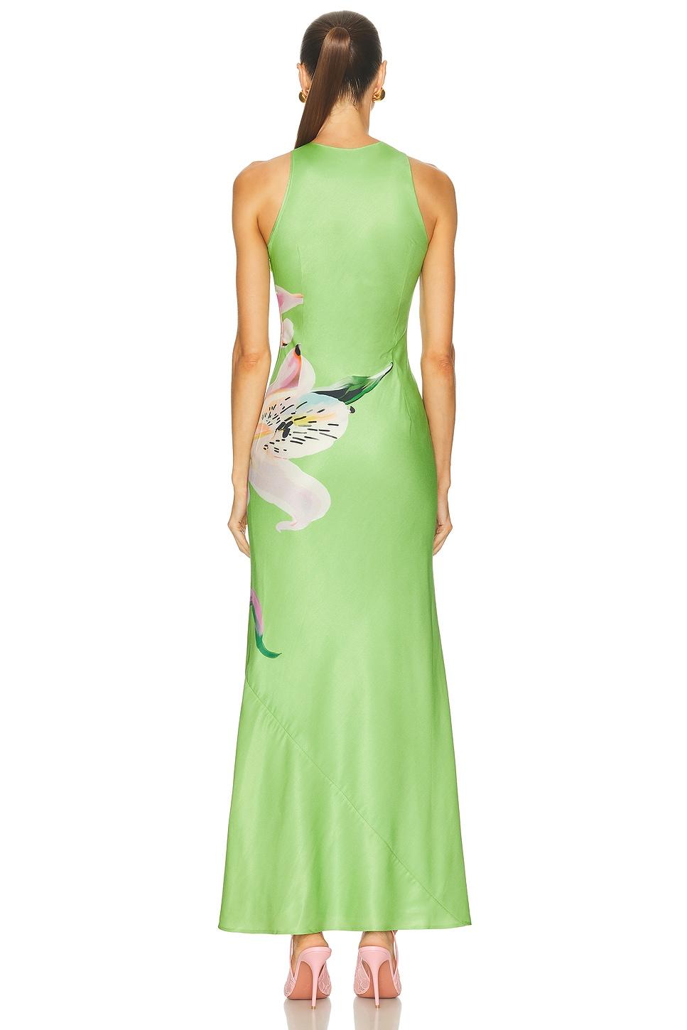 Helena Maxi Dress Product Image
