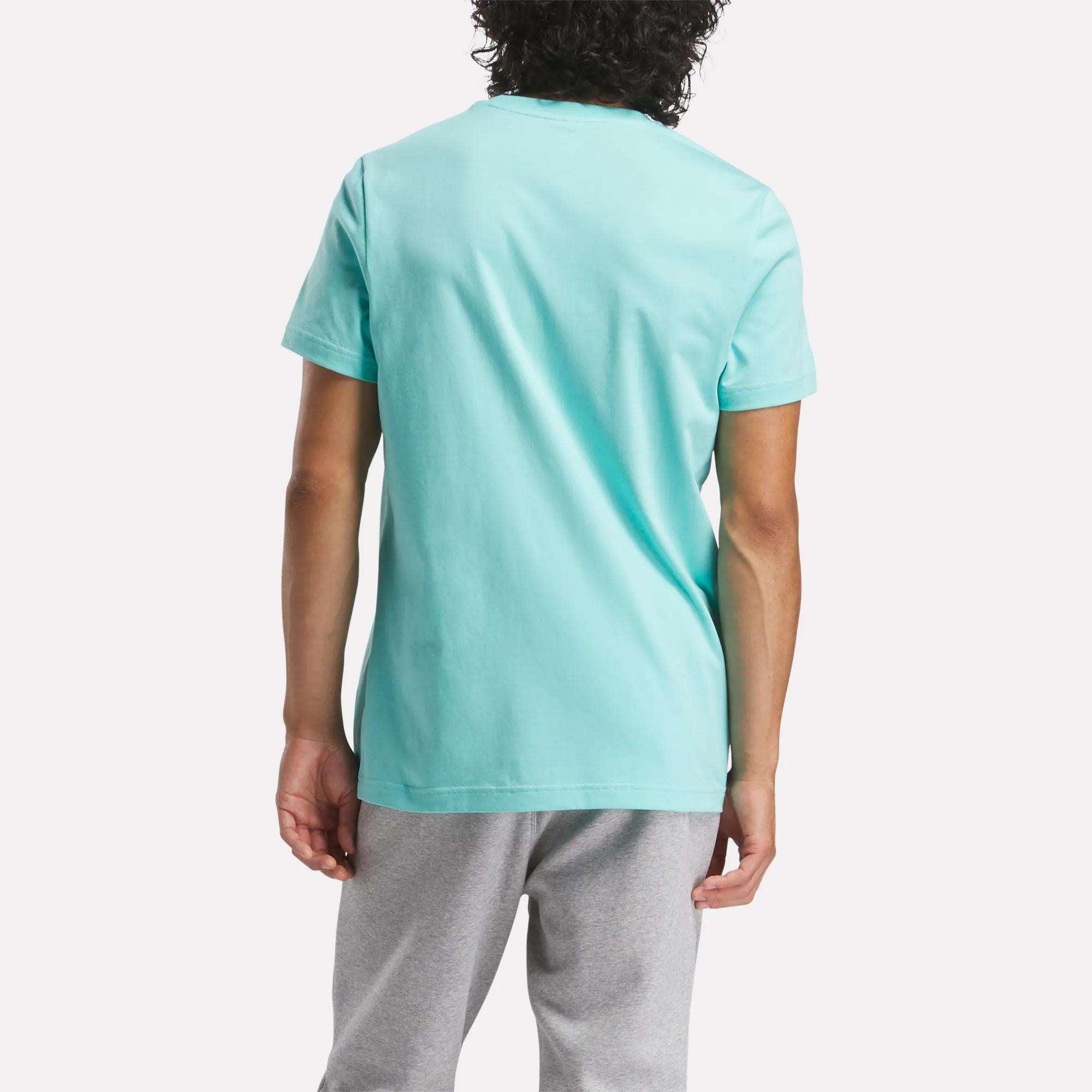 Men's Reebok Identity Classics T-Shirt Male Product Image