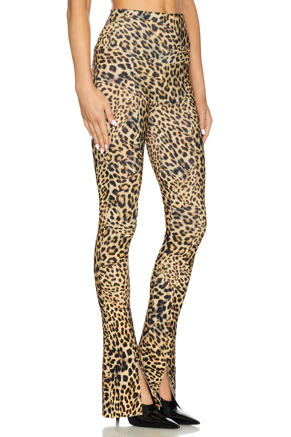 Spat Legging Norma Kamali Product Image