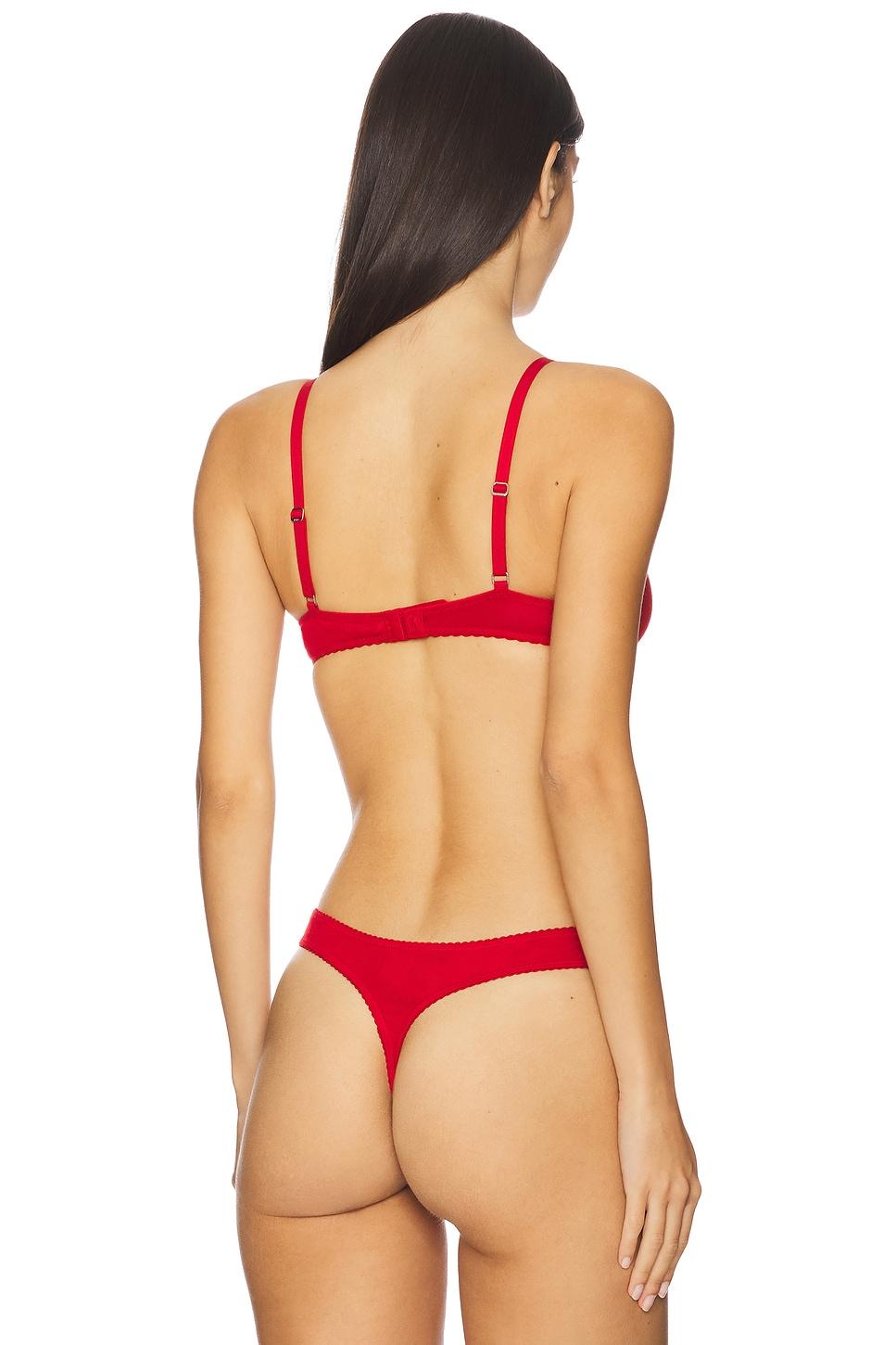 Unlined Demi Polo Ralph Lauren Intimates Product Image