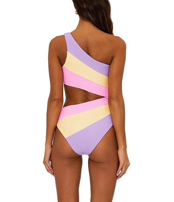 Beach Riot Joyce Ribbed Colorblock One Shoulder One Piece Swimsuit Product Image