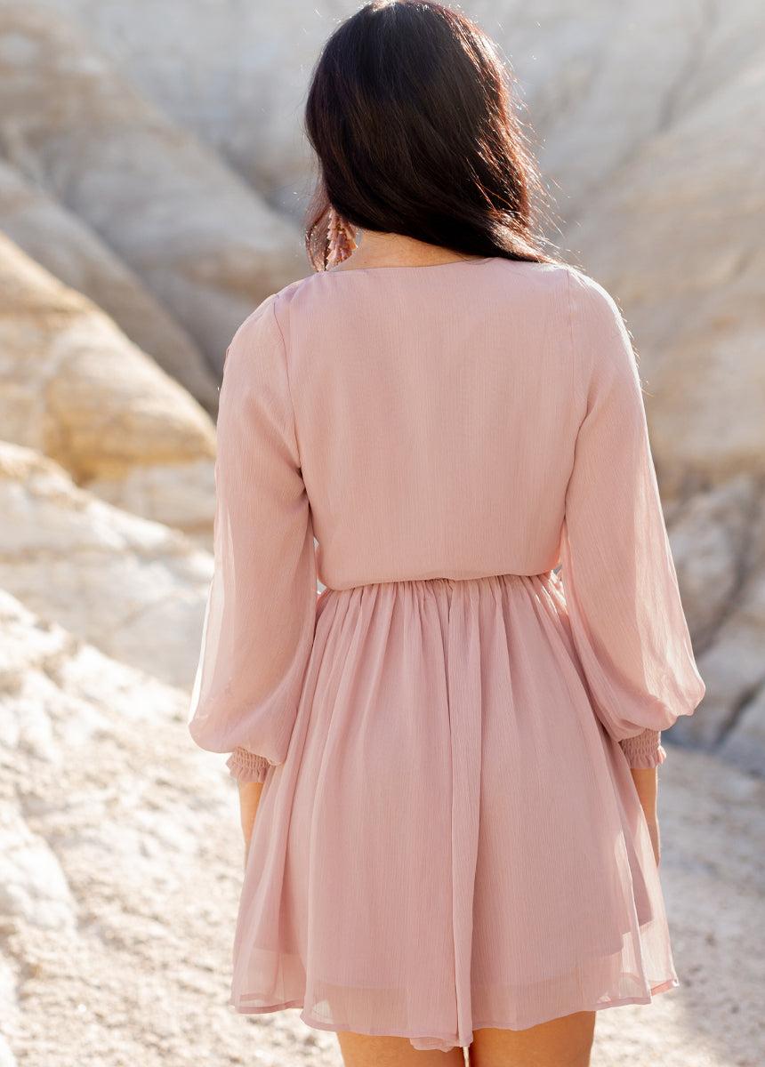 Ani Dress in Nude Pink Female Product Image