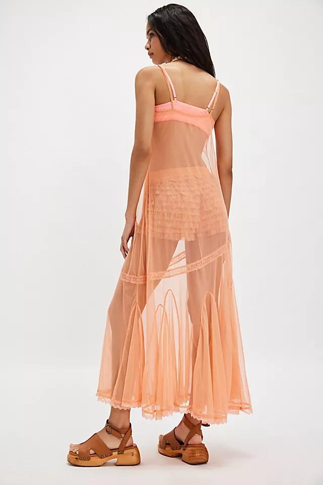 Madeline Mesh Maxi Slip Product Image