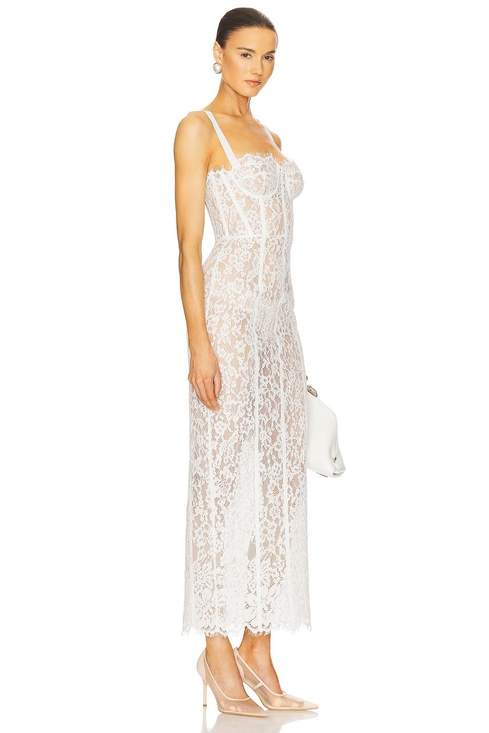 The Lace Column Dress Helsa Product Image