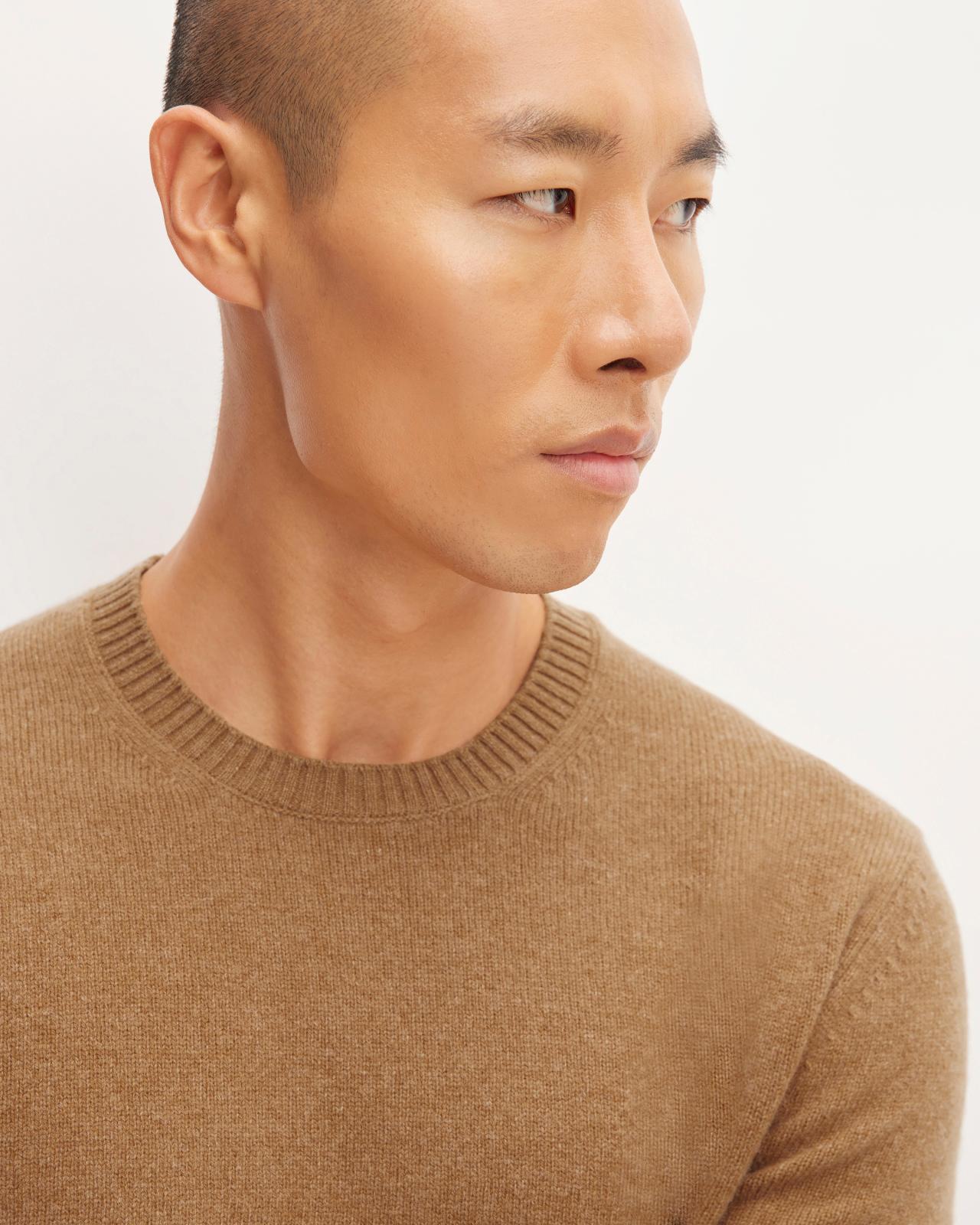 Mens Premium Merino Crew Neck Sweater by Everlane Product Image