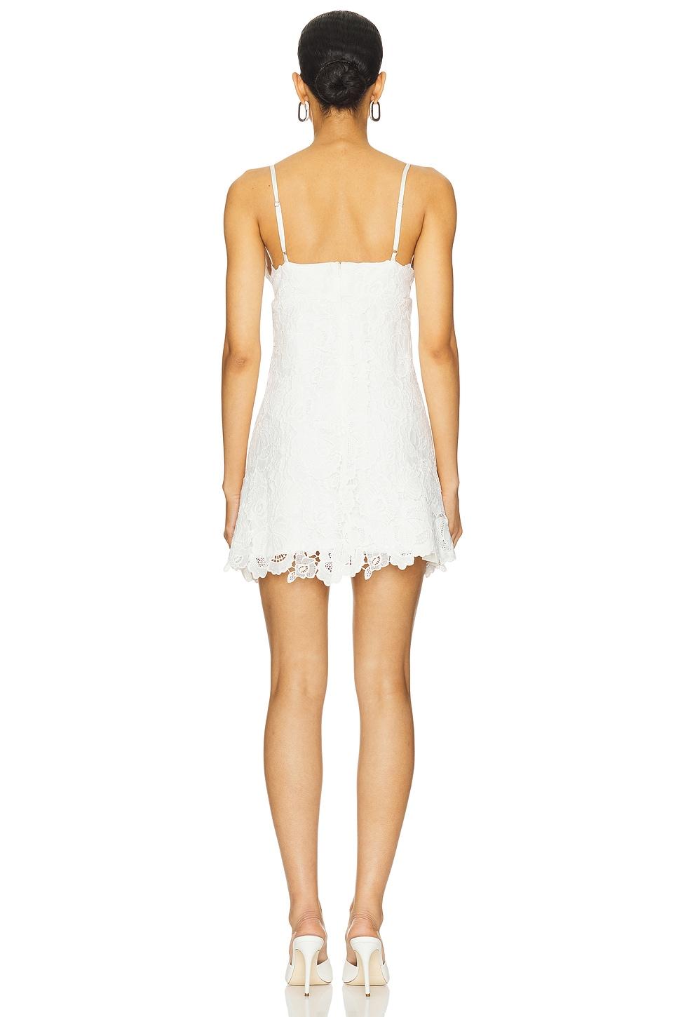 Alma Mini Dress Lovers and Friends Product Image