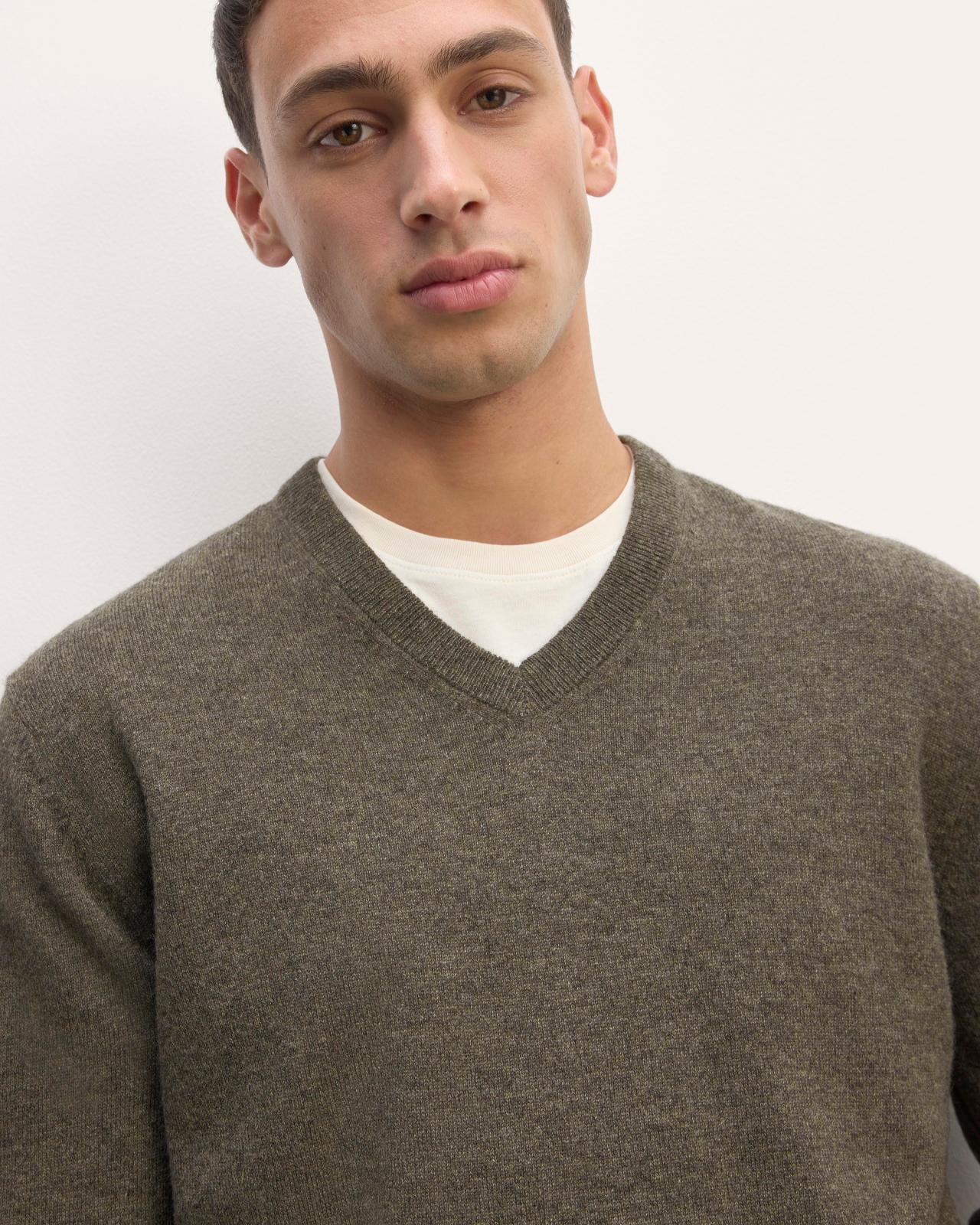 Mens Cashmere V-Neck Sweater by Everlane Product Image