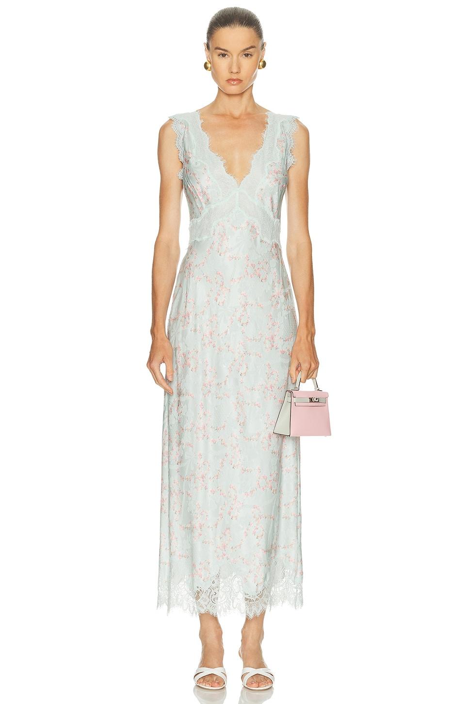 Thong 3 Pack Product Image