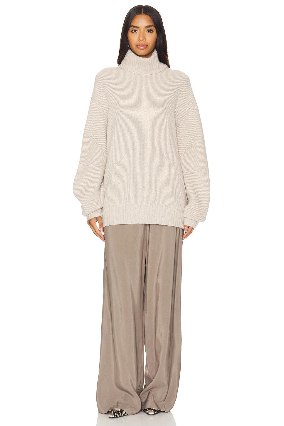 Apex Chunky Turtleneck Helmut Lang Product Image