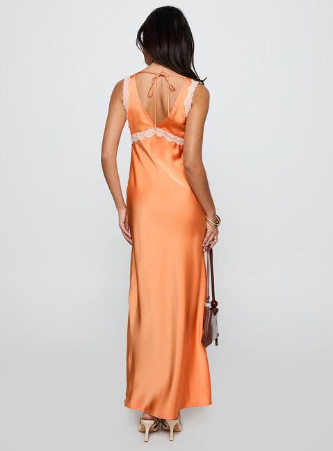 Natassja Maxi Dress Orange Product Image