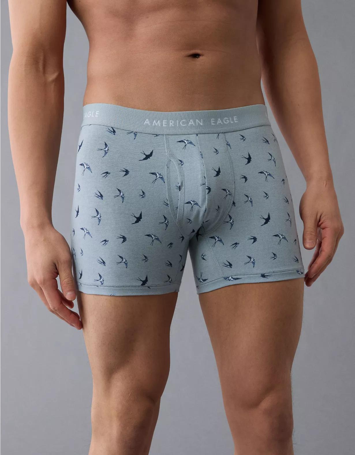 AEO Men's Sparrows 4.5" Classic Boxer Brief Product Image