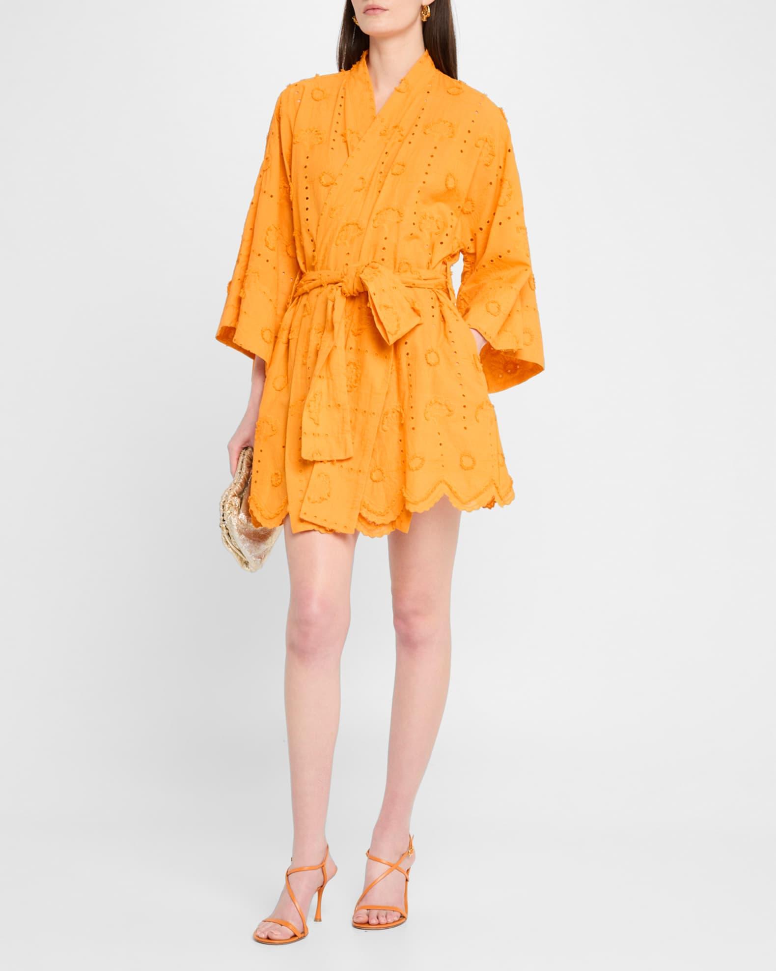 Embroidered Eyelet Mini Wrap Dress Product Image