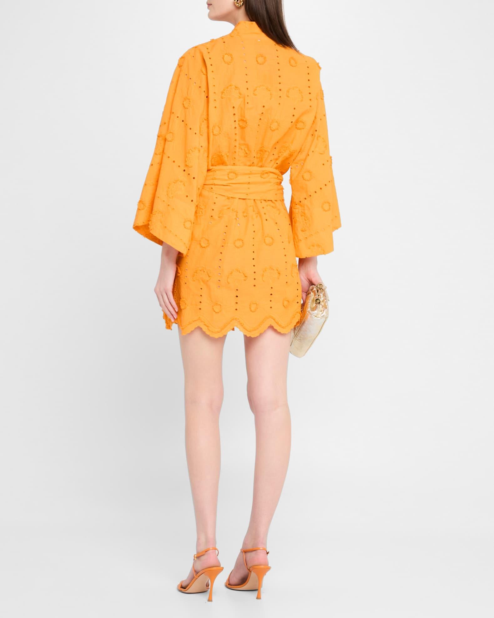 Embroidered Eyelet Mini Wrap Dress Product Image