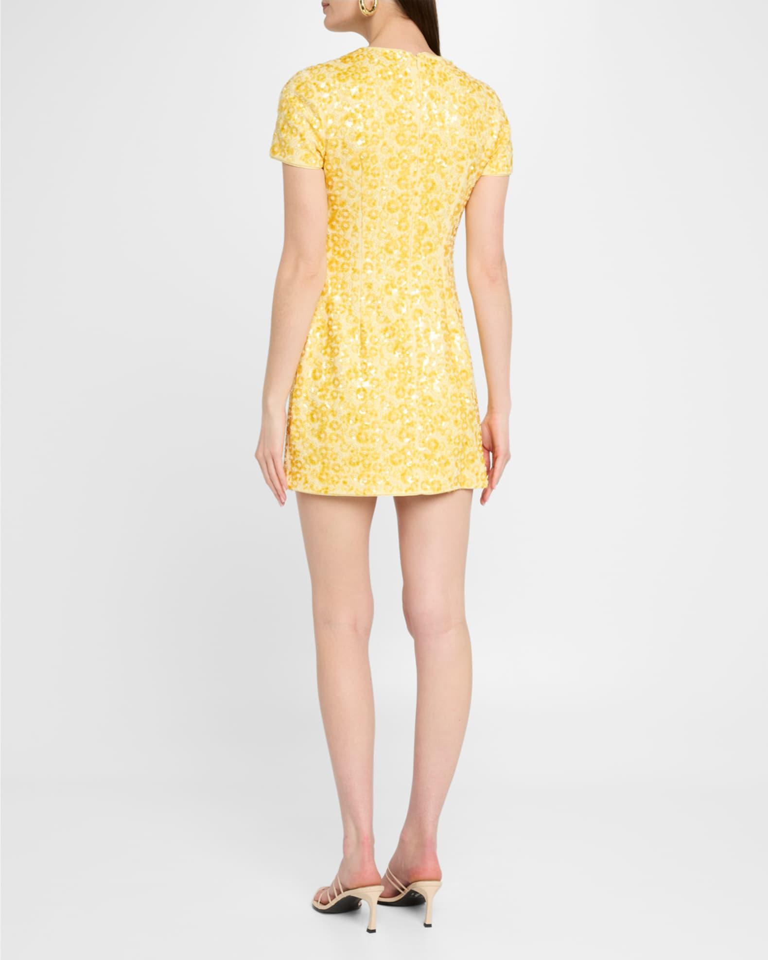 Clove Bead & Sequin Mini Dress Product Image