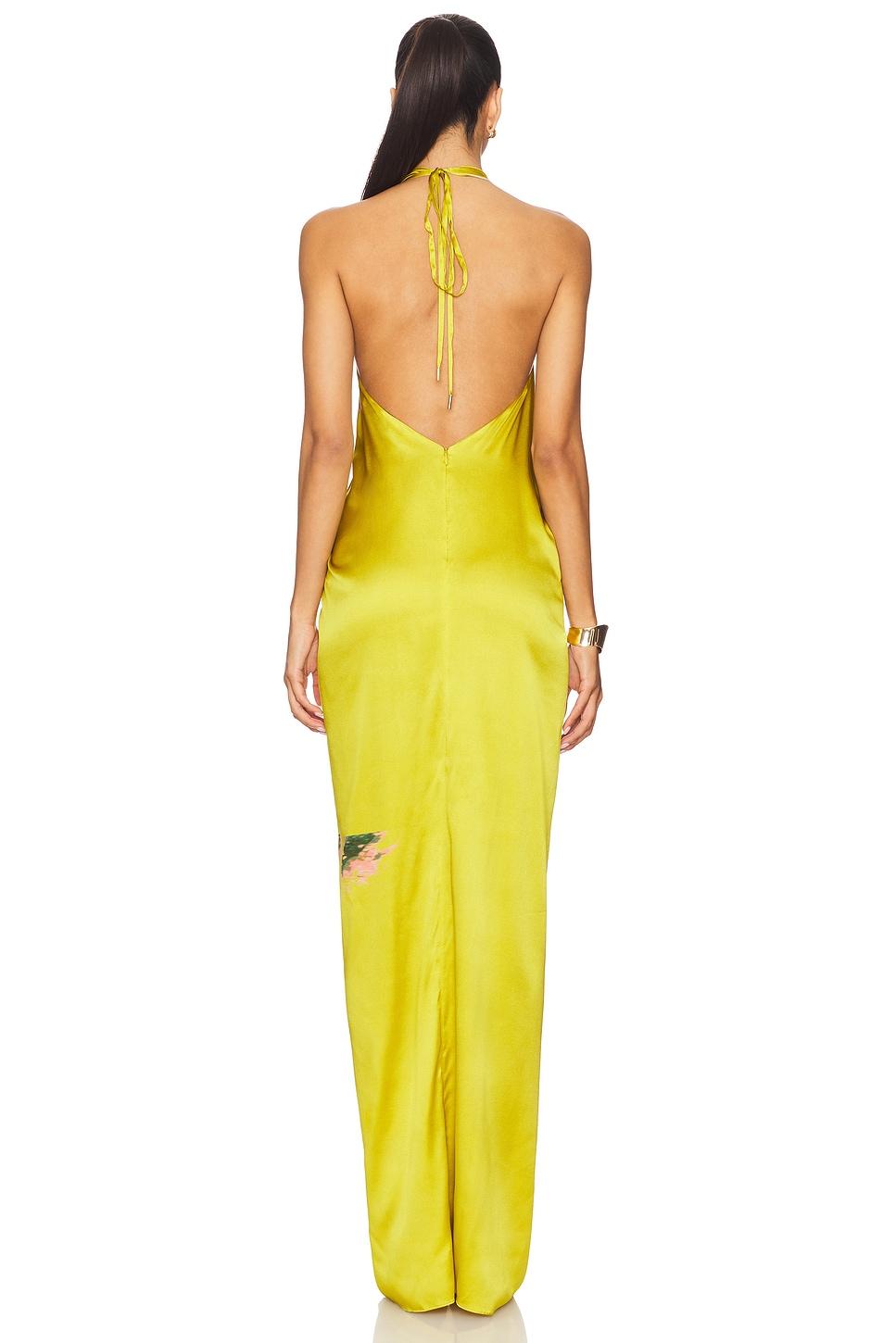 Jazmin Dress Product Image