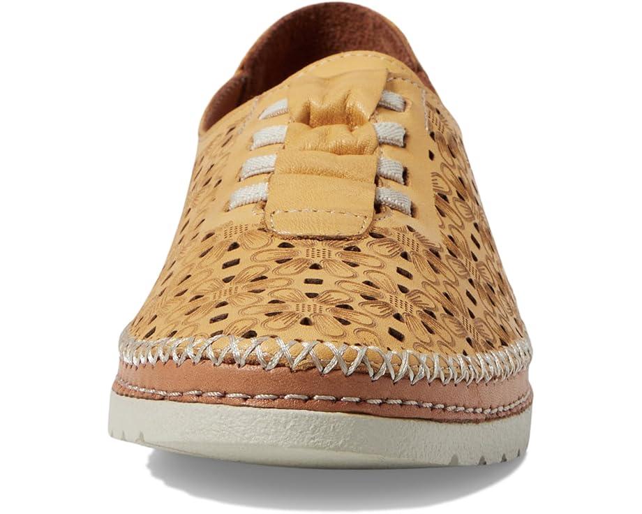 Picasa Product Image