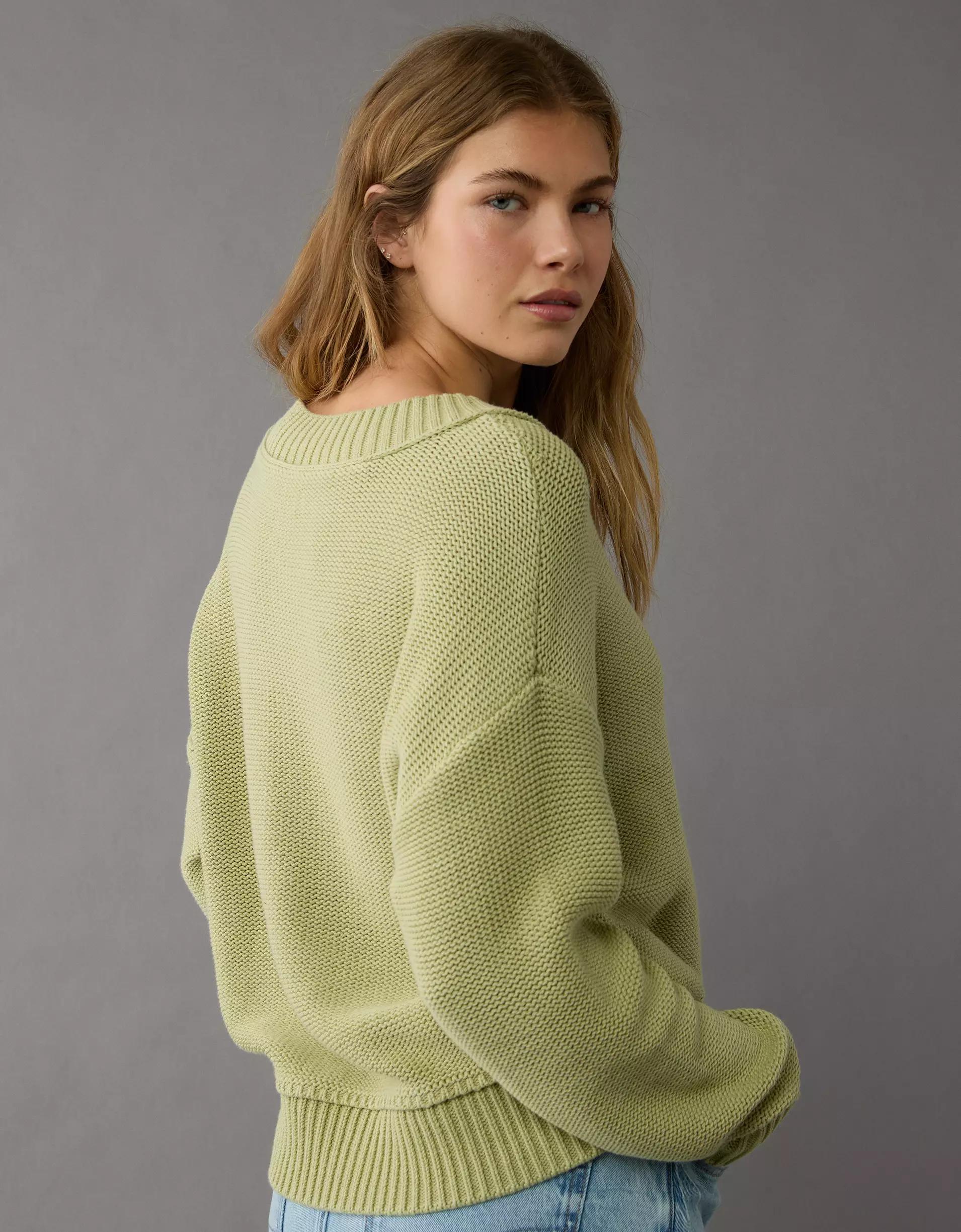 AE Long Weekend V-Neck Sweater Product Image