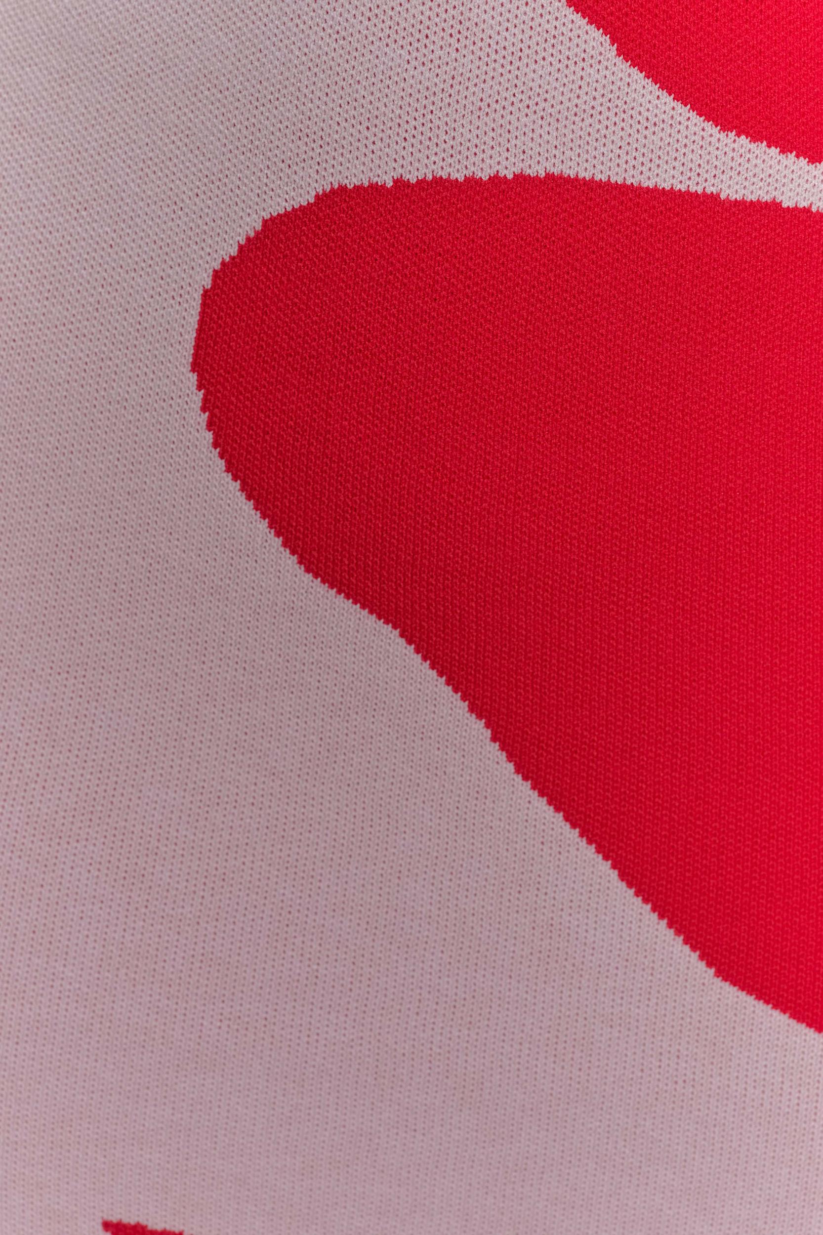 Dorothy Knit Print Mini Dress - Red Deco Fleur Print Product Image