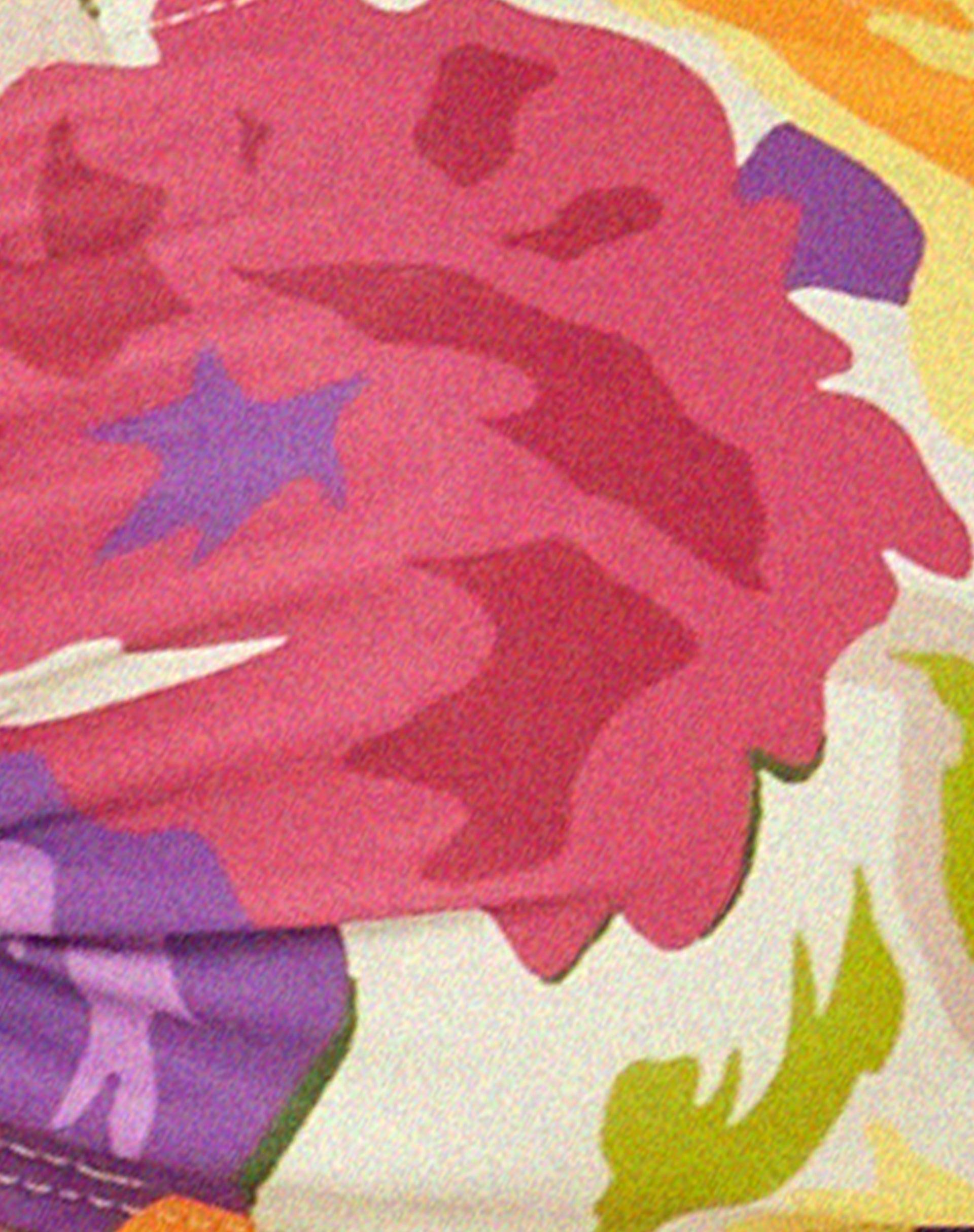 Racola Bikini Top in Tropicana Brights Female Product Image