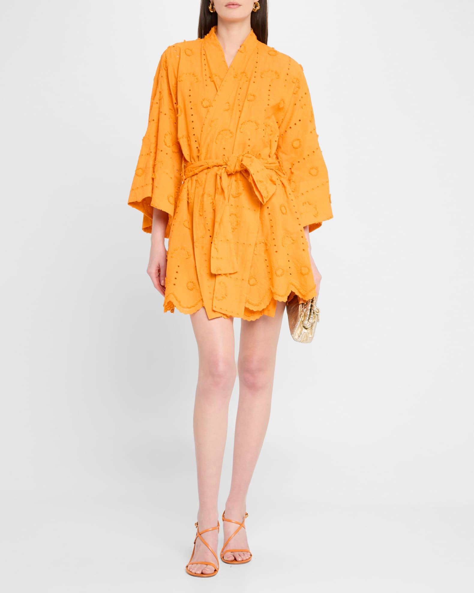 Embroidered Eyelet Mini Wrap Dress Product Image