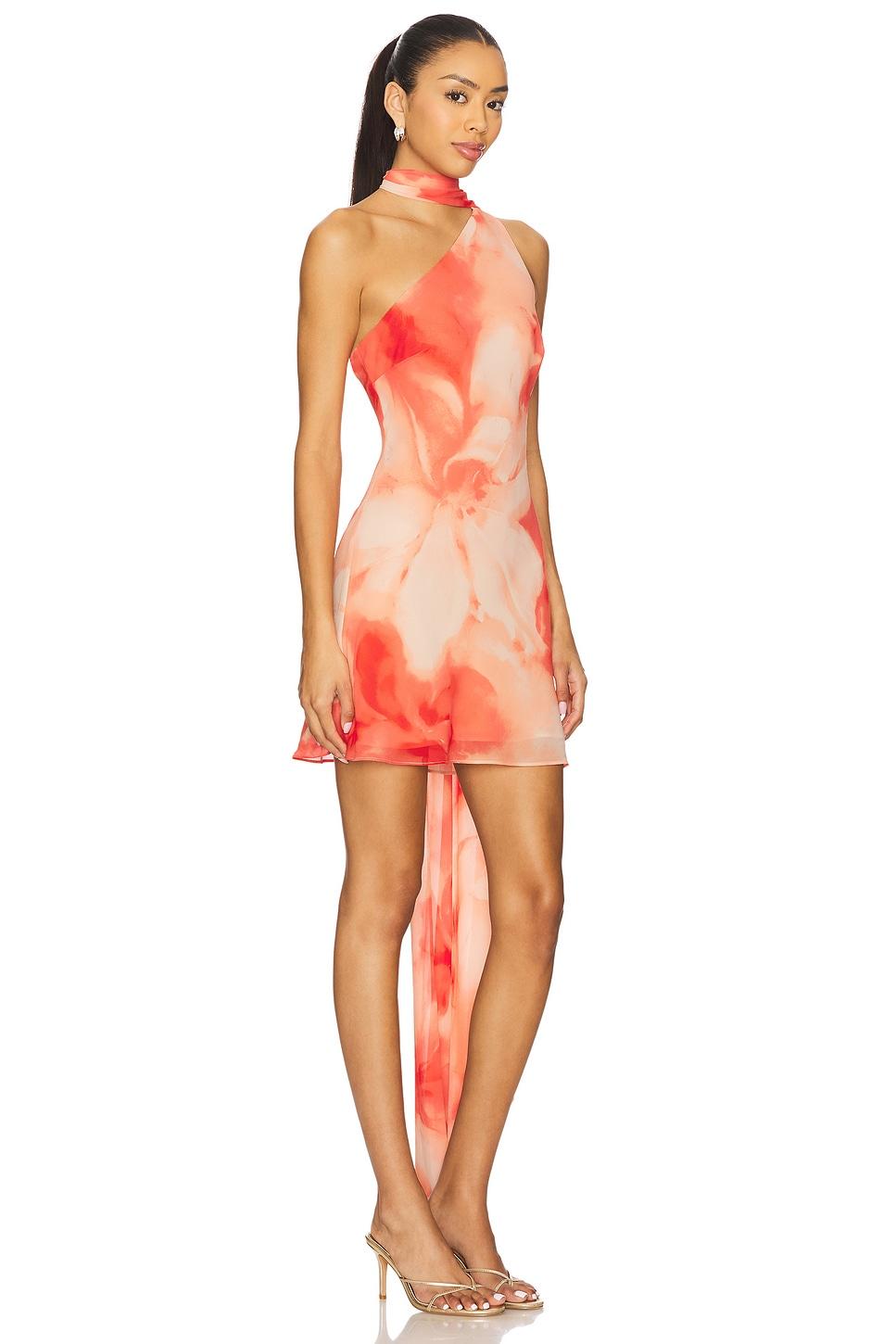 Lovers and Friends Kima Mini Dress in Orange Floral Product Image